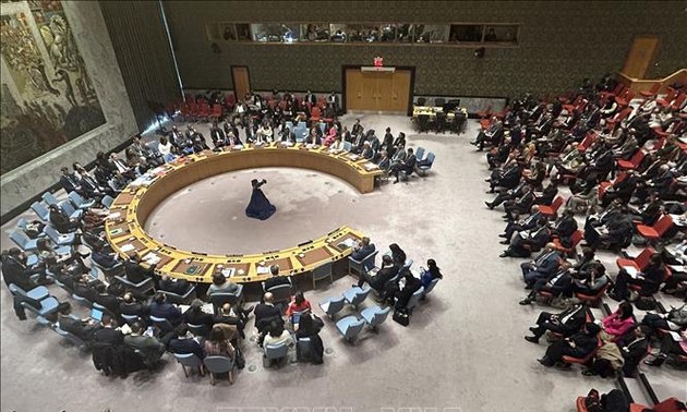 Совбез ООН впервые принял резолюцию, призывающую прекратить огонь в секторе Газа