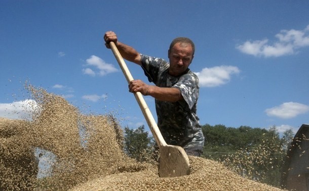 乌克兰危机带动世界粮食价格上涨