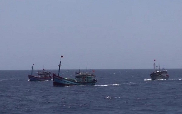 越南国会代表谴责中国船只撞沉越南渔船