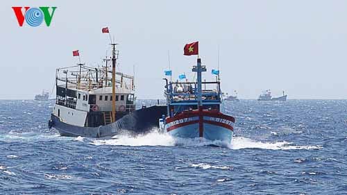 胡志明市华人反对中国非法定位钻井平台