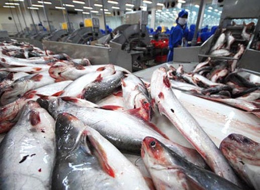 美国国会参议院通过决议取消对越无鳞鱼监督计划