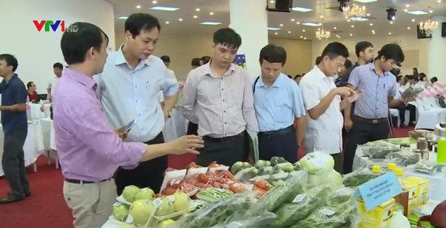 第一次越南无公害农产品鉴别周在河内举行