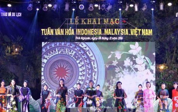 越南-马来西亚-印度尼西亚文化周开幕