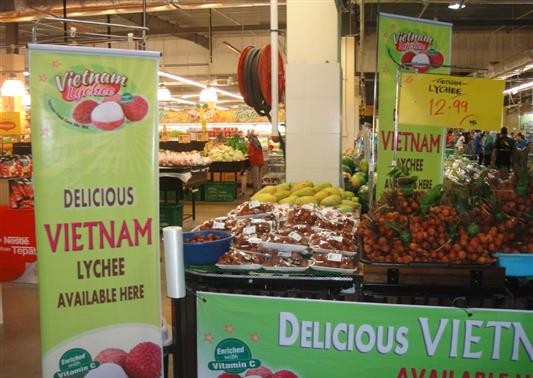 寻找措施加大越南产品出口马来西亚市场