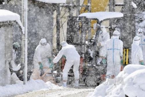 中国加强对H7N9禽流感疫情爆发的防控工作
