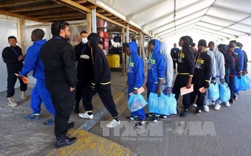 约1200名移民在地中海获救