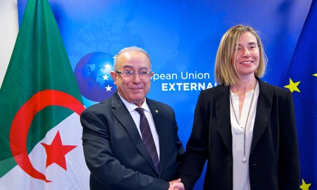 欧盟希望深化与阿尔及利亚的伙伴关系