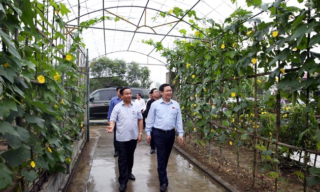 越南政府副总理王庭惠视察河静省新农村建设示范村