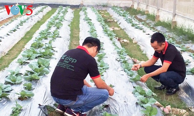 东南亚进出口和服务公司发展高科技农业生产模式