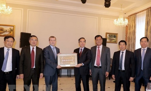 越南积极参与圣彼得堡国际经济论坛各项活动
