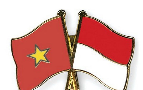 进一步开发越南与印度尼西亚合作机会
