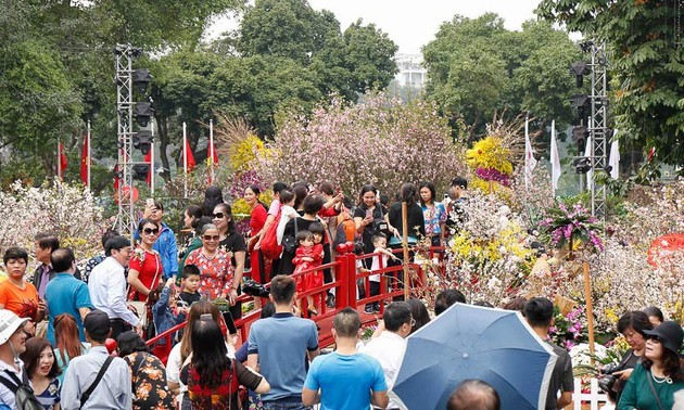 2019年河内日本樱花节 吸引100万游客