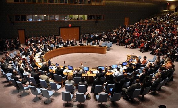 参加联合国安理会 提高越南的地位