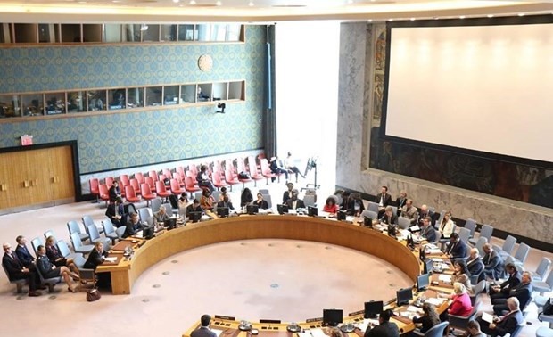 越南竞选联合国安理会非常任理事国：对和平世界的责任