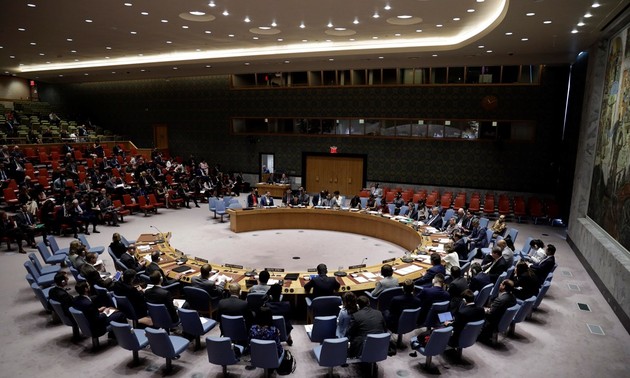 越南提出具体任务 担任好联合国安理会的新职务