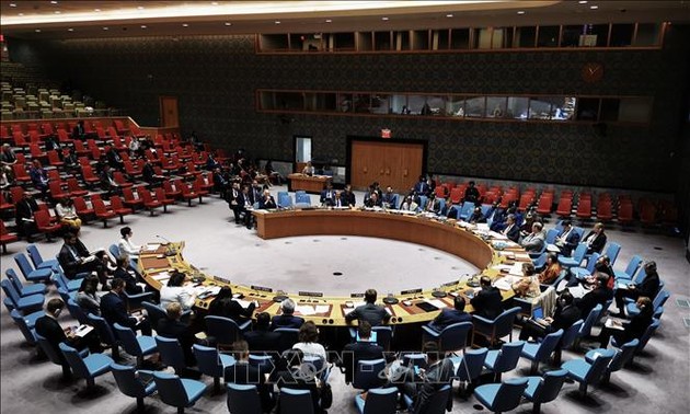 越南与联合国安理会：越南肯定国家威望