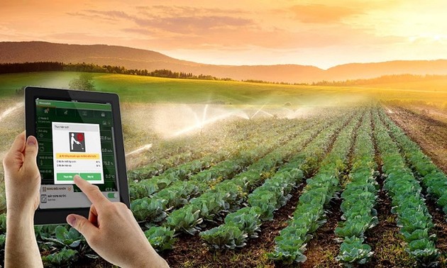在农业发展中加强科技应用