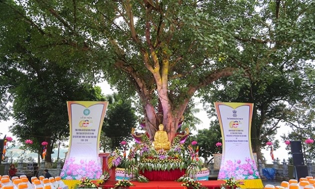 镇国寺菩提树是越南与印度友好关系的象征