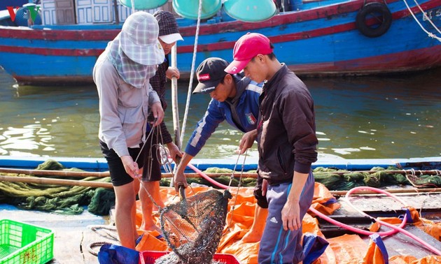 越南渔民年初出海渔获丰收
