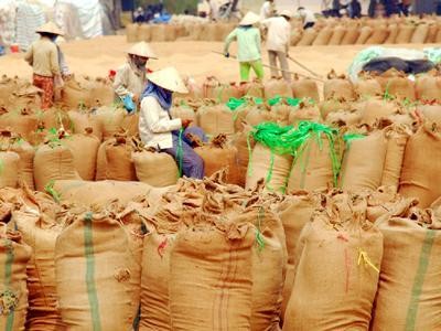 Sáu tháng cuối năm, Việt Nam xuất khẩu thêm 3,6 triệu tấn gạo