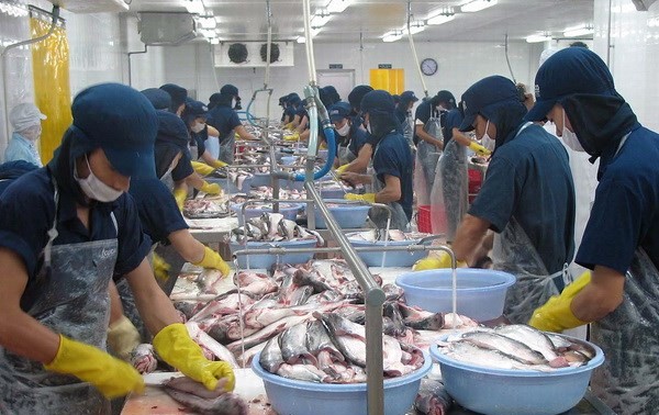 Chính sách bảo hộ nông nghiệp của Mỹ gây khó cho xuất khẩu cá tra của Việt Nam