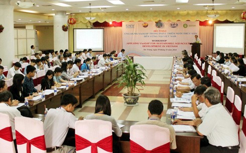 Ứng dụng VietGAP trong phát triển nuôi trồng thủy sản bền vững tại Việt Nam