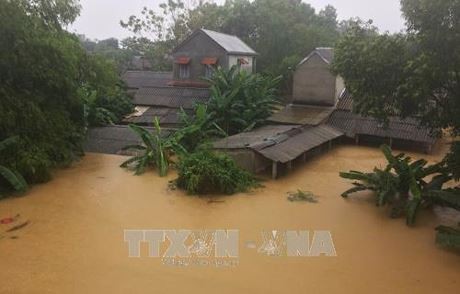 Hội Chữ thập đỏ Việt Nam cứu trợ khẩn cấp các tỉnh bị ảnh hưởng nặng nề do bão Damrey