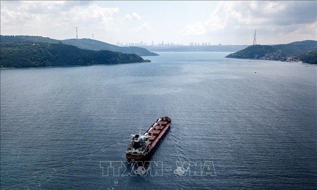 Turkey pushes talks with Russia on Black Sea grain deal