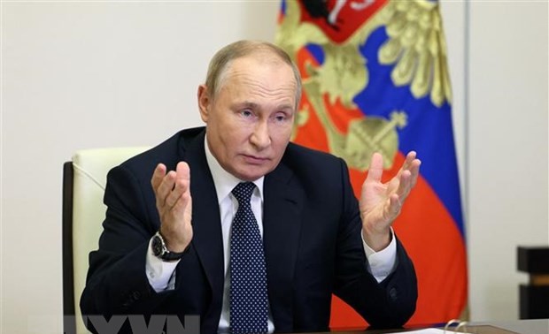 Russian President Putin not to attend G20 summit