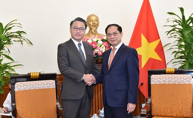 FM Bui Thanh Son meets Govenor of Japan's Nagasaki prefecture