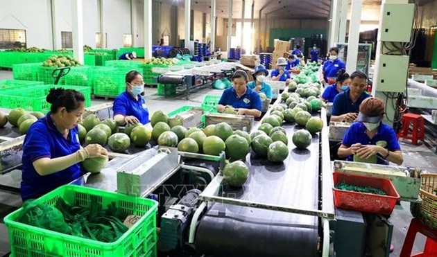 New record set in fruit, vegetable exports