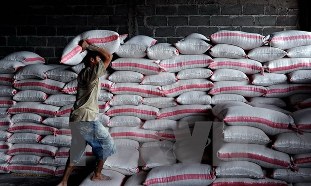 Мировые цены на продовольствие снизились до рекордного уровня за последние 5 лет