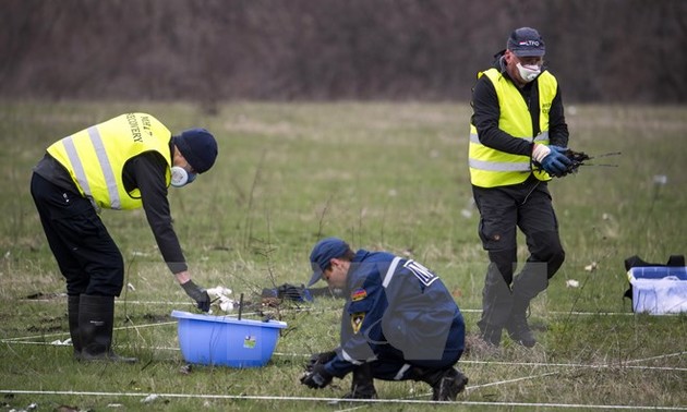 В Нидерланды доставлены последние тела жертв авиакатастрофы Боинга-777