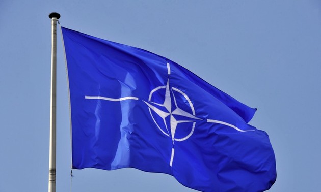НАТО оценила стоящие перед ней вызовы