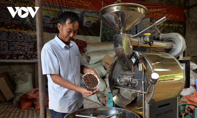 Провинция Шонла стремится производить 5-звёздочный кофе по модели «OCOP»