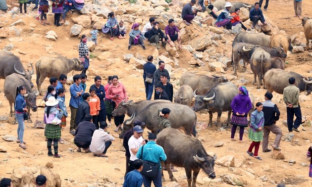 Канкау – крупнейший буйволиный базар на северо-западе Вьетнама