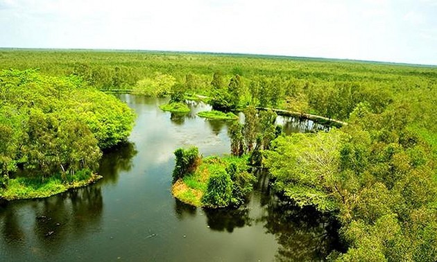 Всемирный день окружающей среды: Вьетнам вступает в десятилетие восстановления экосистем