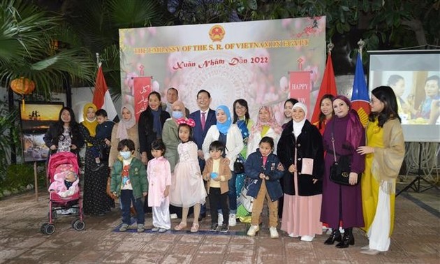 Вьетнамцы в зарубежных странах встретили Новый год по лунному календарю 