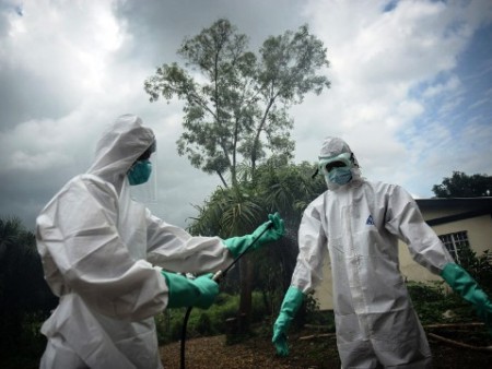 ดับเบิลยูเอชโอเตือนว่า จำนวนผู้เสียชีวิตจากไวรัสอีโบลาเพิ่มสูงขึ้น