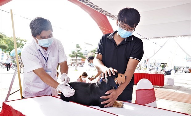 WHO ให้คำมั่นเดินพร้อมกับเวียดนามในการขจัดโรคพิษสุนัขบ้าในปี 2030