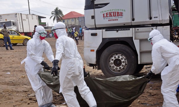 Ebola patients flee restricted areas in Liberia