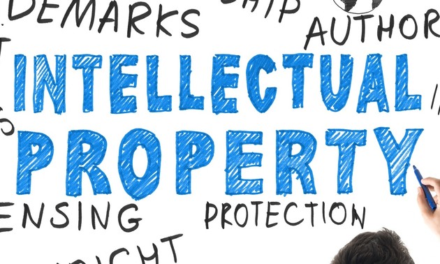 11 years of Law on Intellectual Property enforcement in Vietnam