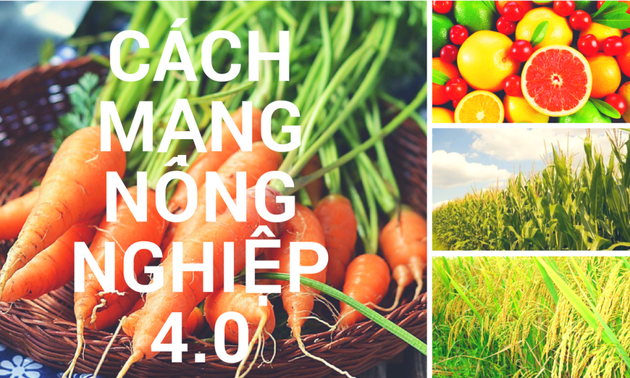 Vietnam boosts Agriculture 4.0