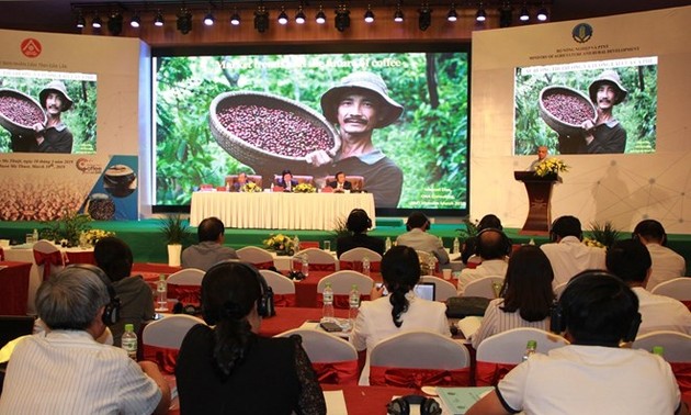 Vietnam promotes production of specialty coffee