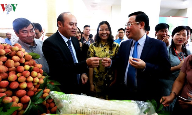 Seminar on promoting Bac Giang litchis opens
