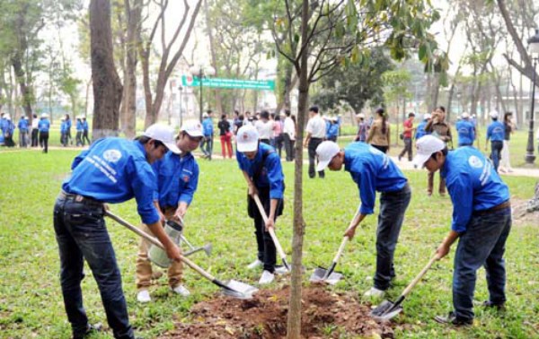 Tree planting festival 2020 to be launched