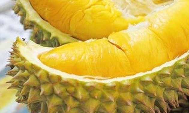 Vietnamese durian marketed in Australia 