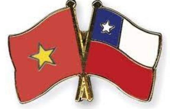 Vietnam is Chile’s largest trade partner in Southeast Asia