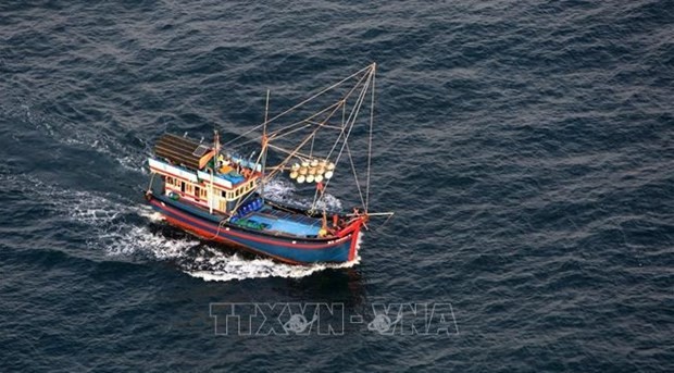 Vietnam takes more efforts to eradicate illegal fishing: Thai news site