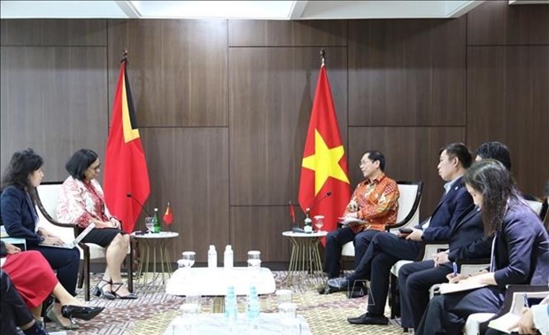 Vietnam to help Timor Leste soon become official member of ASEAN: FM